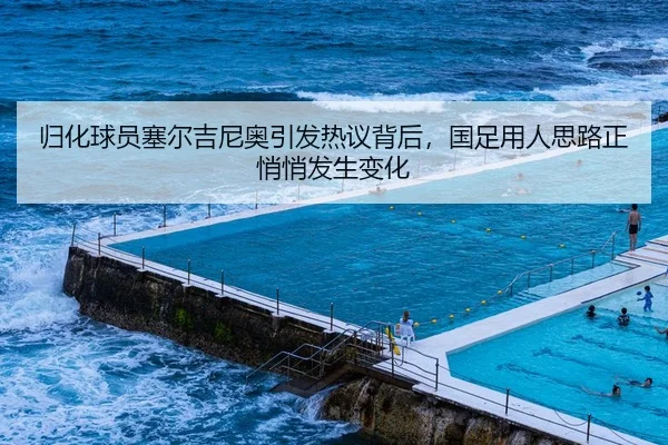 归化球员塞尔吉尼奥引发热议背后，国足用人思路正悄悄发生变化
